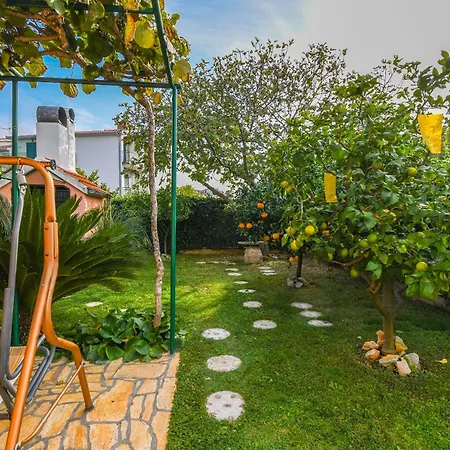 Ivancic Apartment *